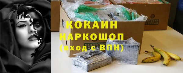 шишки Балахна