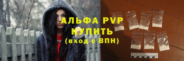 шишки Балахна