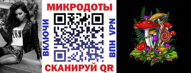 Псилоцибиновые грибы Psilocybe  Няндома 